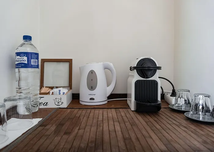 住宿加早餐酒店 Santa Ana &